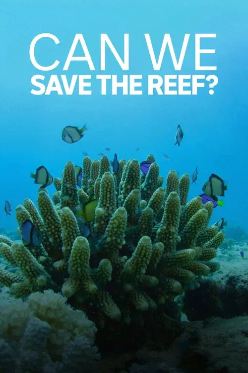 Can We Save the Reef? poster
