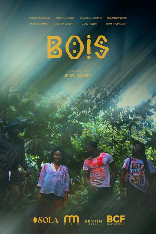 Bois poster