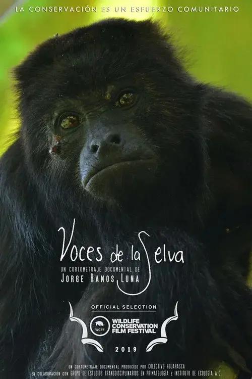 Rainforest Voices poster