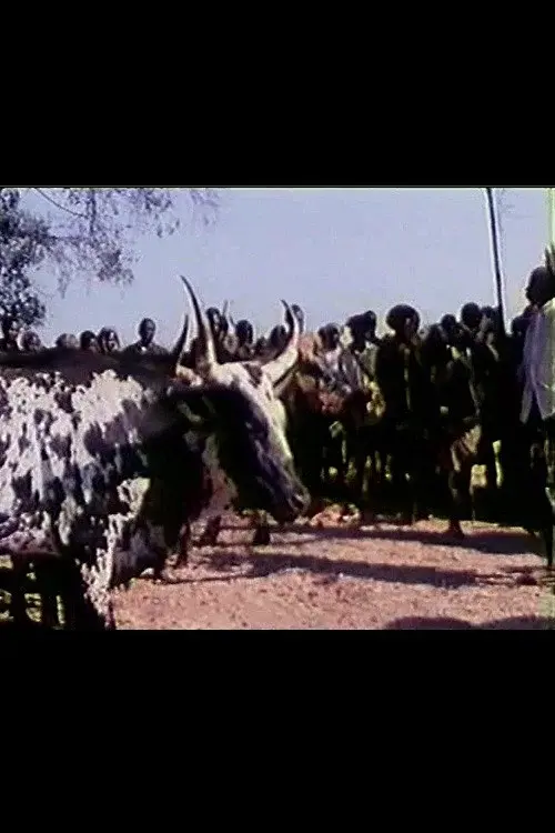 Feast of the Sacred Ox poster