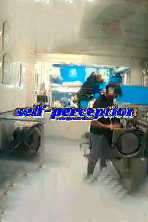 self perception poster