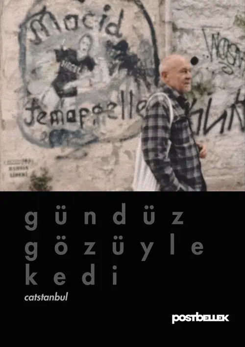 Catstanbul poster