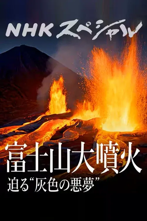 富士山大噴火 迫る“灰色の悪夢” poster