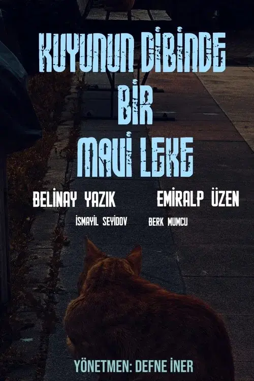 Kuyunun Dibinde Bir Mavi Leke poster