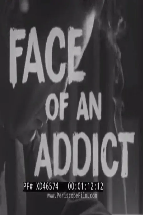 Face of an Addict poster
