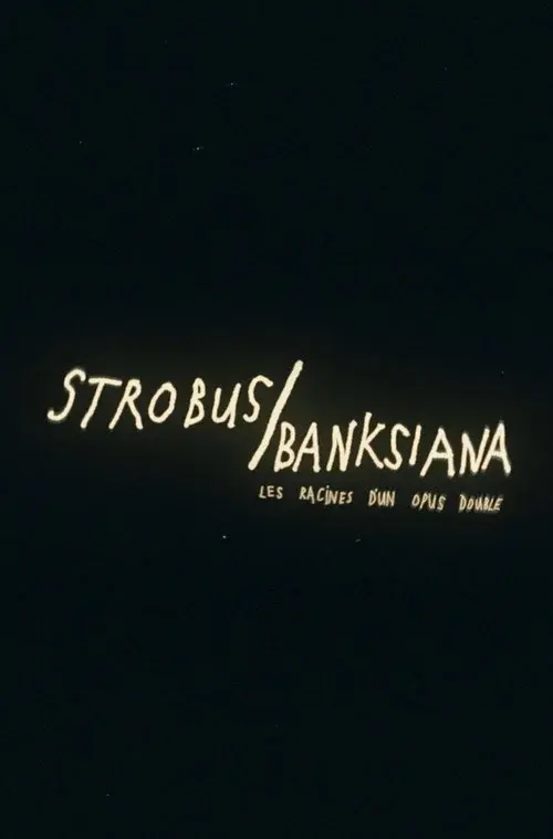 Strobus / Banksiana : les racines d'un opus double poster