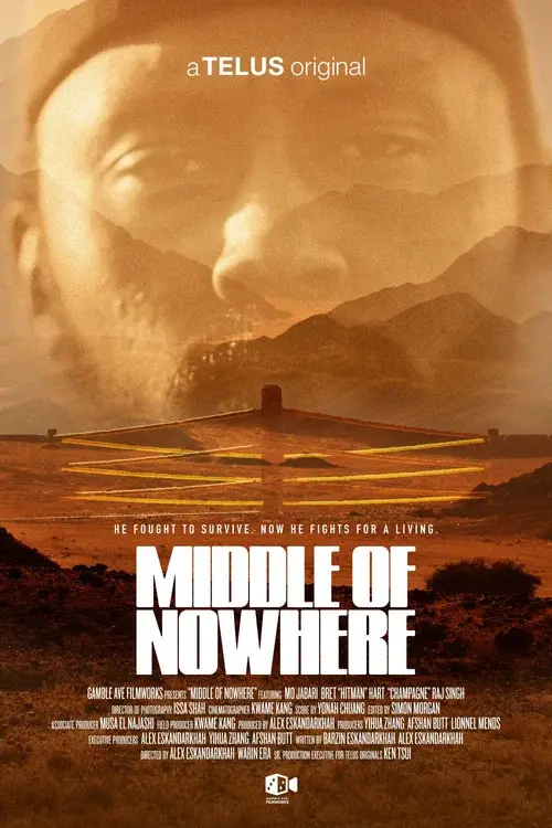 Middle of Nowhere poster