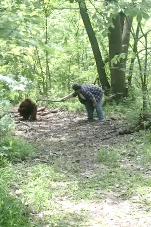 Bigfoot poster