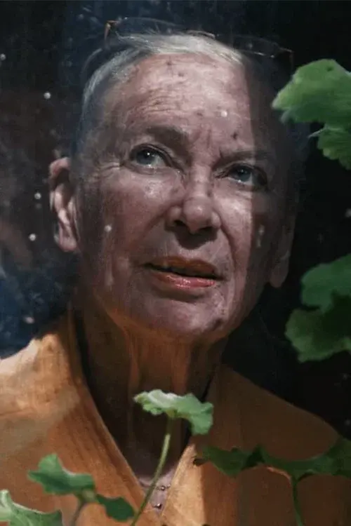Aunt Iki poster
