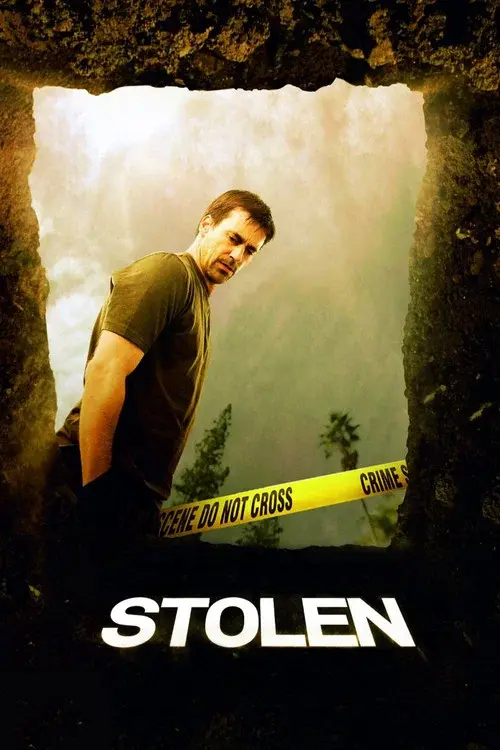 Stolen poster