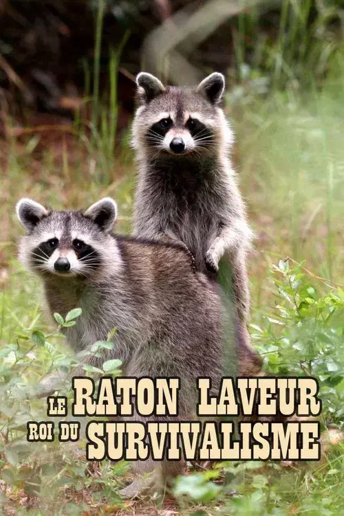 The Raccoon; The King of Survivalism poster