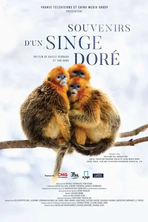 Souvenirs d'un singe doré poster