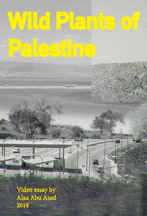 Wild Plants of Palestine poster