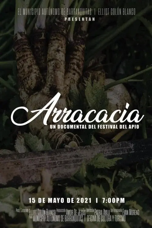 Arracacia: A Celery Festival Documentary poster