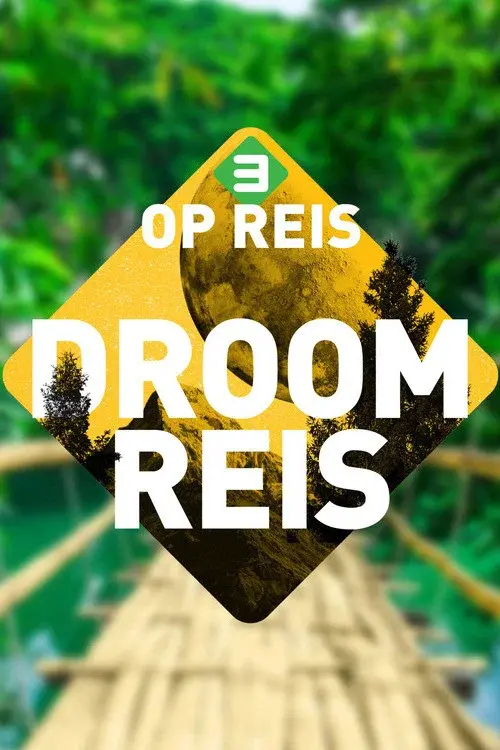 3 op Reis poster