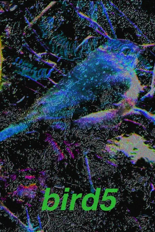 bird5.mp4 poster