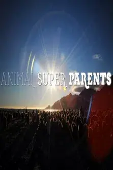 Animal Super Parents poster