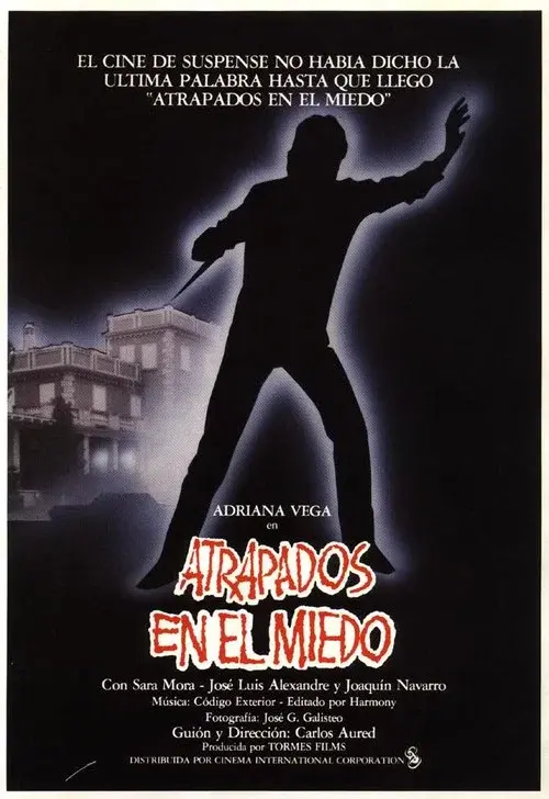 Caught in Fear poster