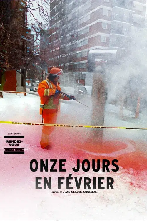 Fog in February poster