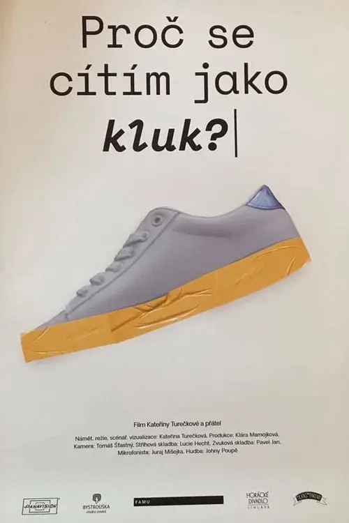 Why Do I Feel like a Boy? poster