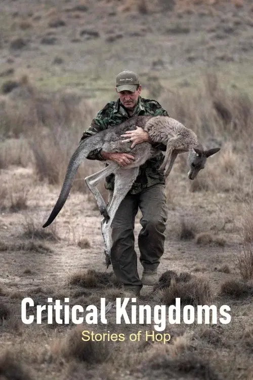 Critical Kingdoms - Stories of Hope poster