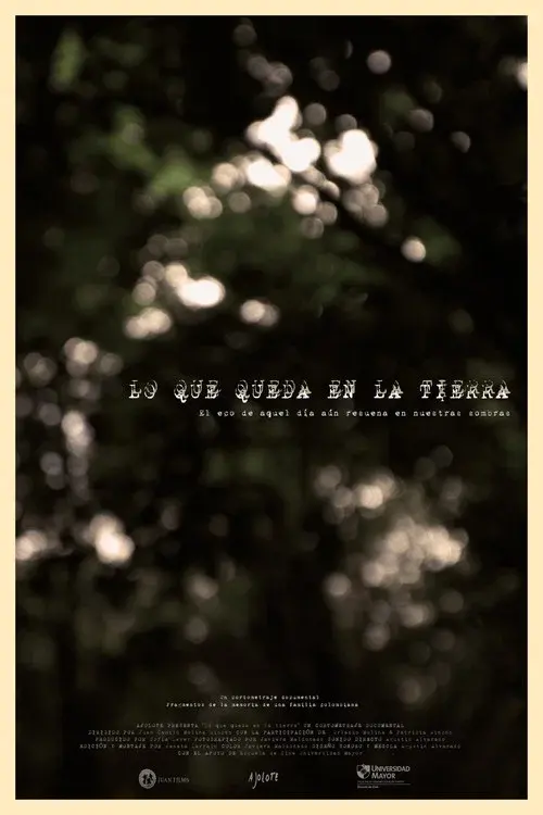 Lo Que Queda en la Tierra poster