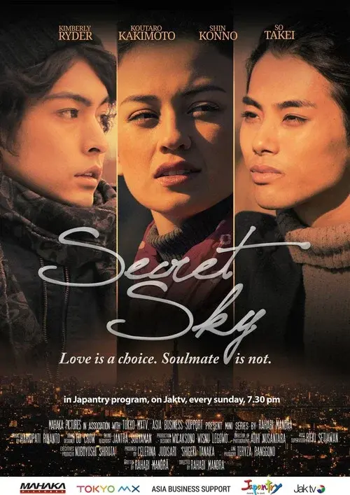Secret Sky poster