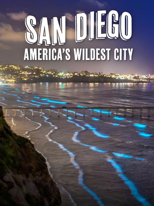 San Diego: America's Wildest City poster