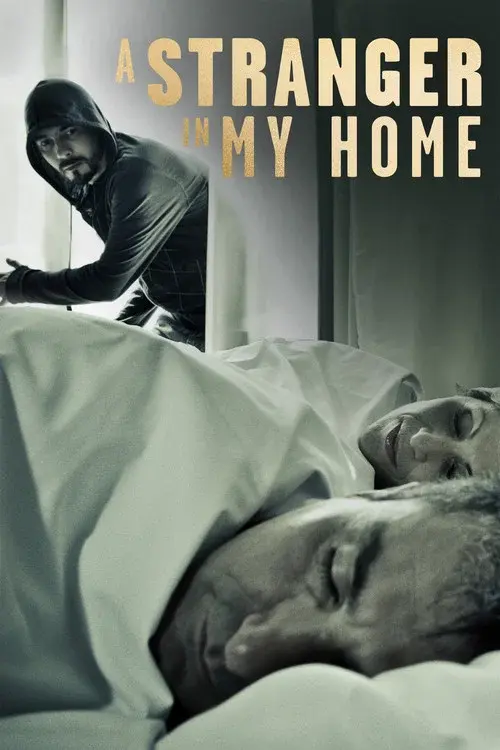 A Stranger in My Home poster