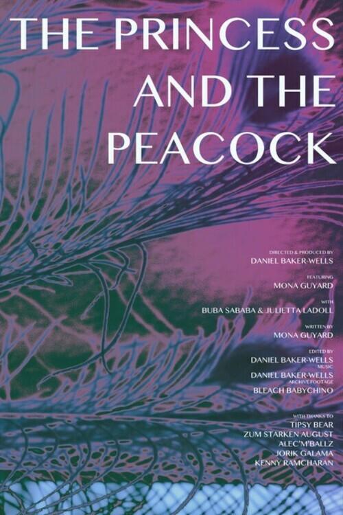The Princess and the Peacock poster