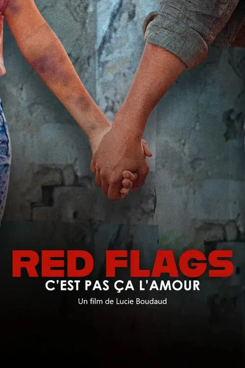Red Flags – c’est pas ça l’amour poster