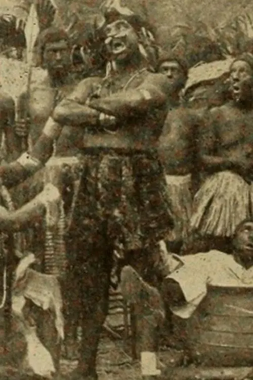 Rastus in Zululand poster