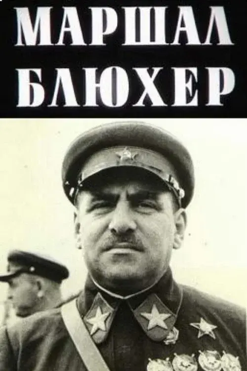 Marshal Blucher: A Portrait Against the Background of an Epoch poster