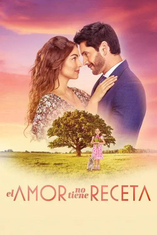 El amor no tiene receta poster