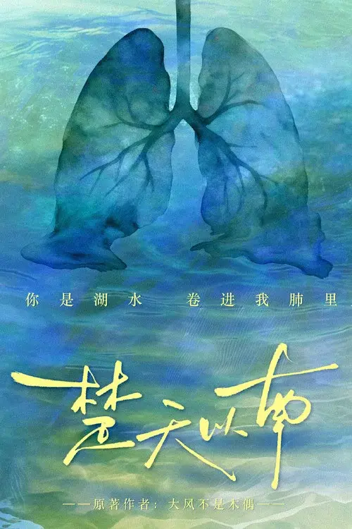 楚天以南 poster