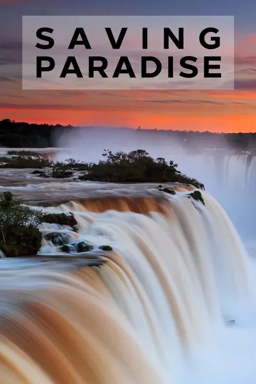 Saving paradise poster