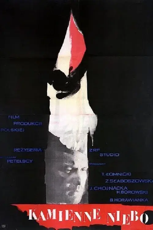 The Stone Sky poster