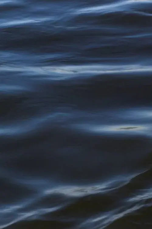 The Flood poster