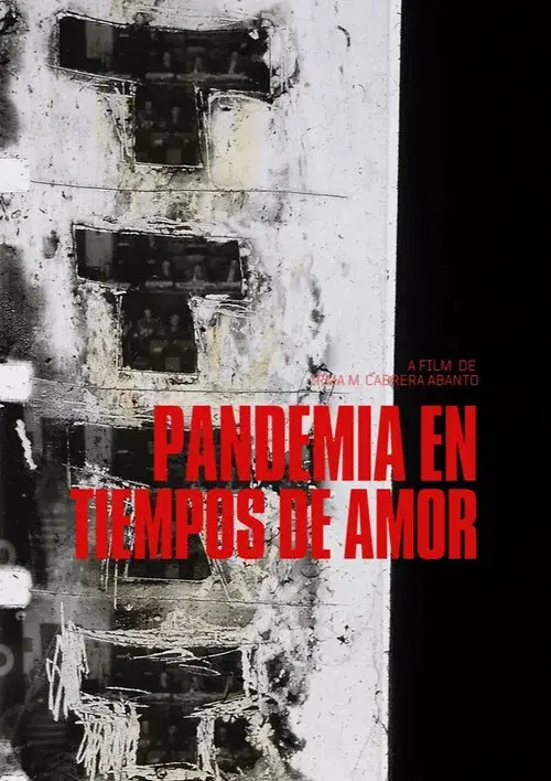 Pandemic in Times of Love poster