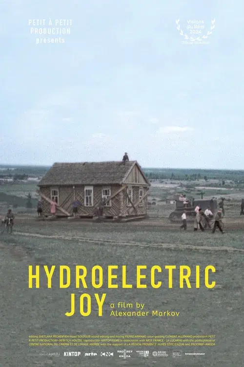 Hydroelectric Joy poster