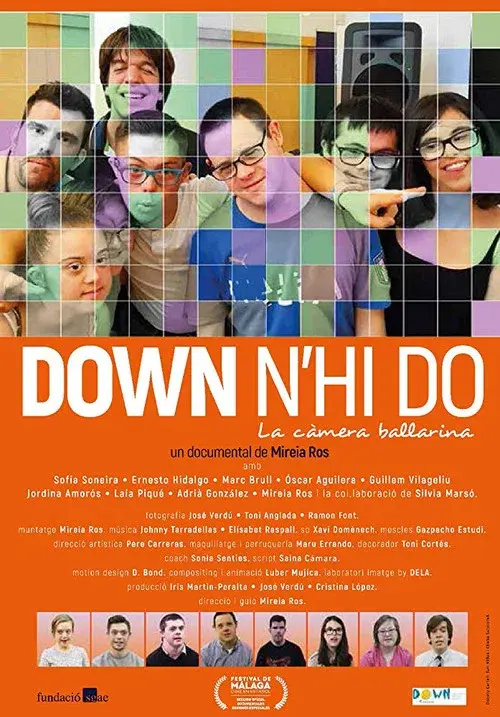 Down n'hi do - La càmera ballarina poster