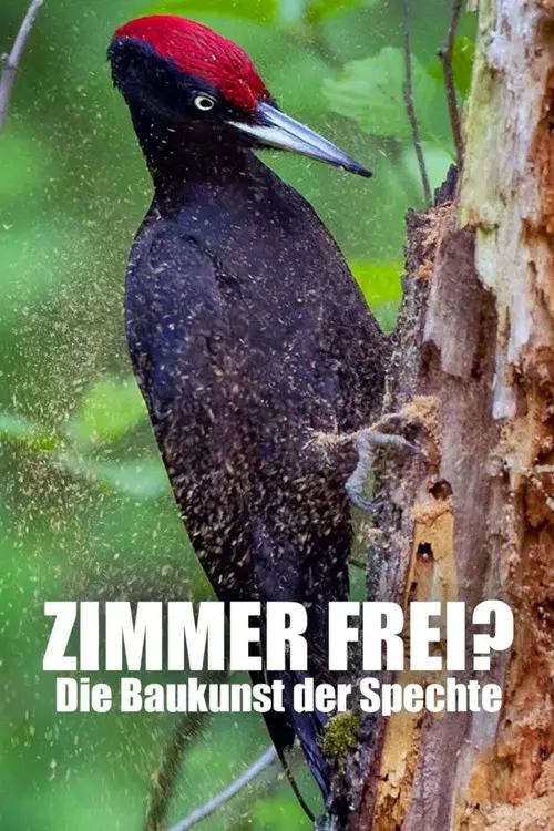 Knock knock – a Woodpeckers world poster