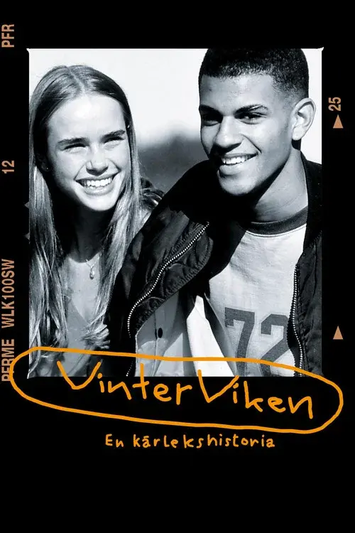 Winter Bay poster