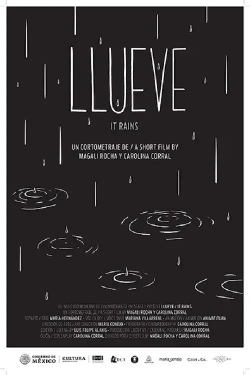 It Rains poster