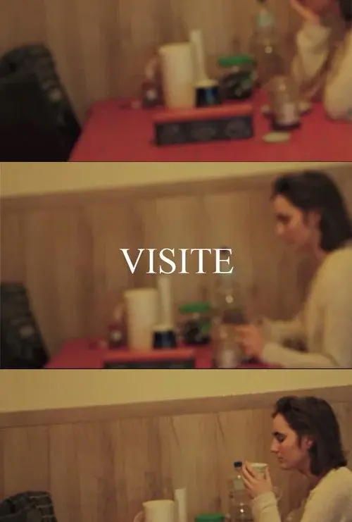VISIT poster