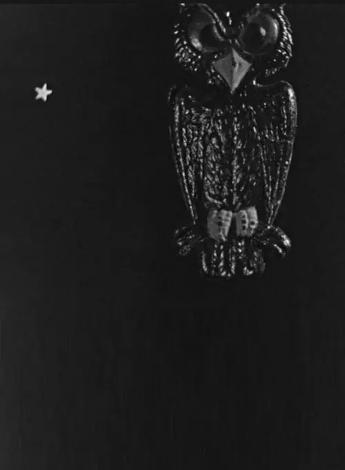 The Spider and the Fly poster