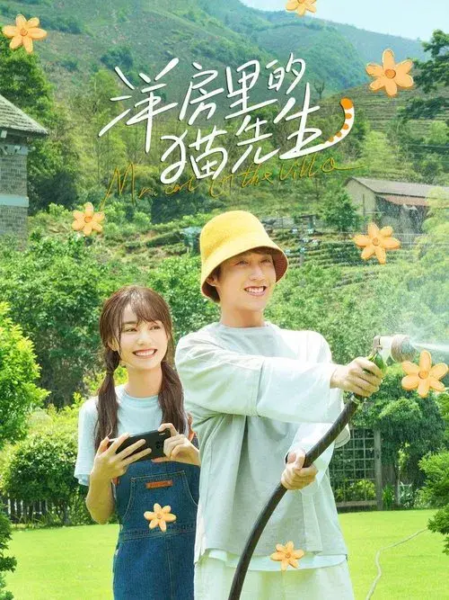 Mr. Cat in the Villa poster