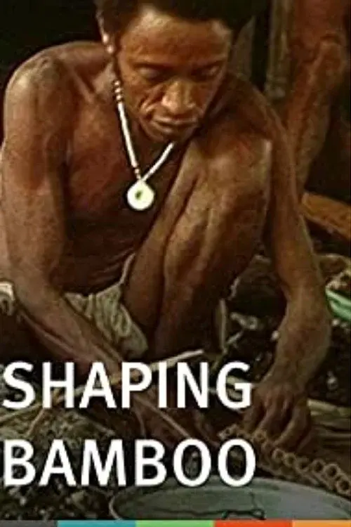 Shaping Bamboo poster