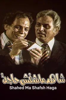 The Witness Who Didn't See Anything poster