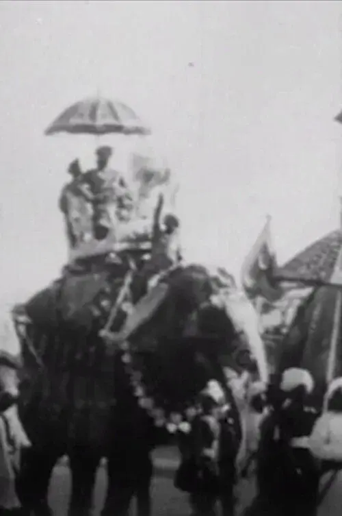 Procession of Elephants with Howdahs - India poster